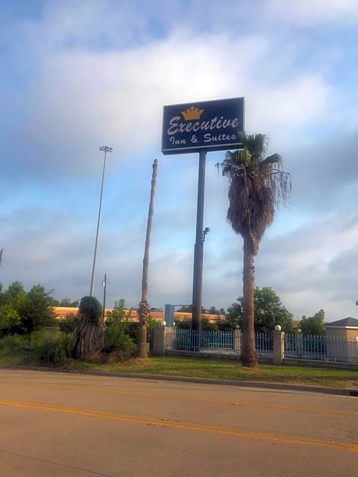 executive inn & suites