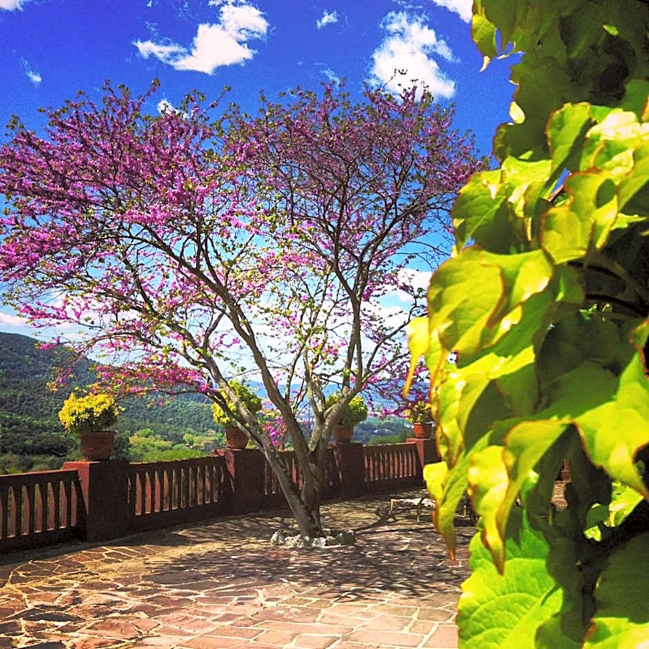 Masia Vista Hermosa