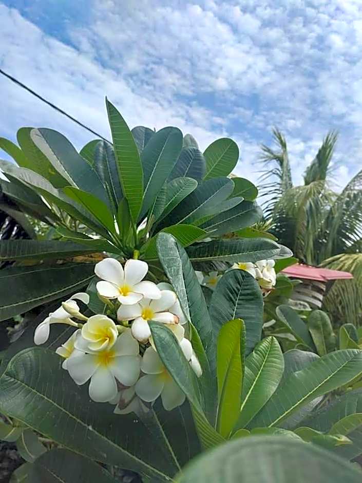 Langkawi Homestay Bunga Padi