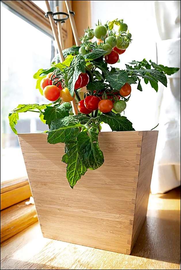 MARKT EINS Gästezimmer