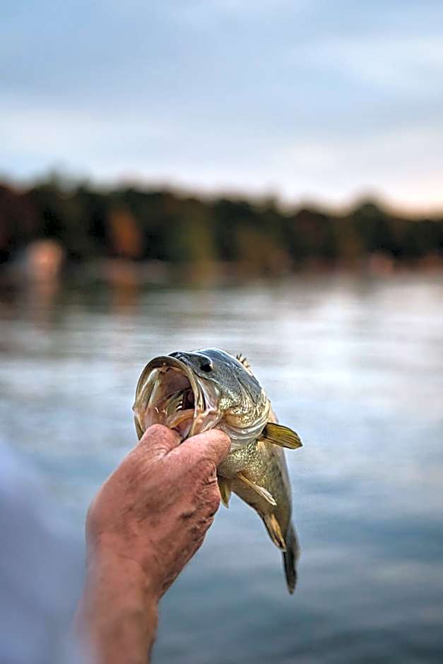 Bass Lake Country Lodge