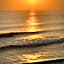 Kala Surf Camp