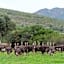 Swartberg Country Manor