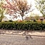 Torine House B&B
