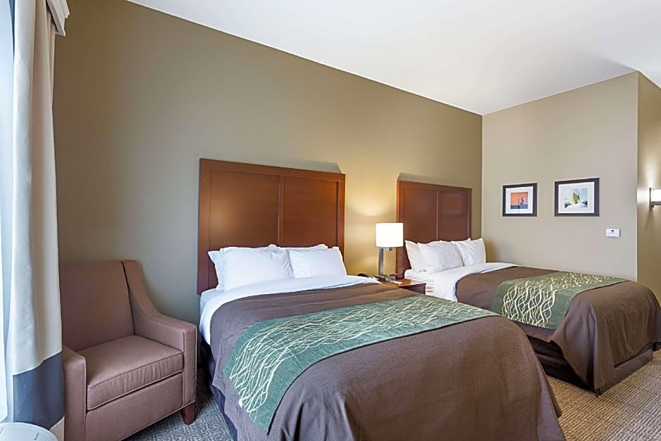 Comfort Inn & Suites Zachary