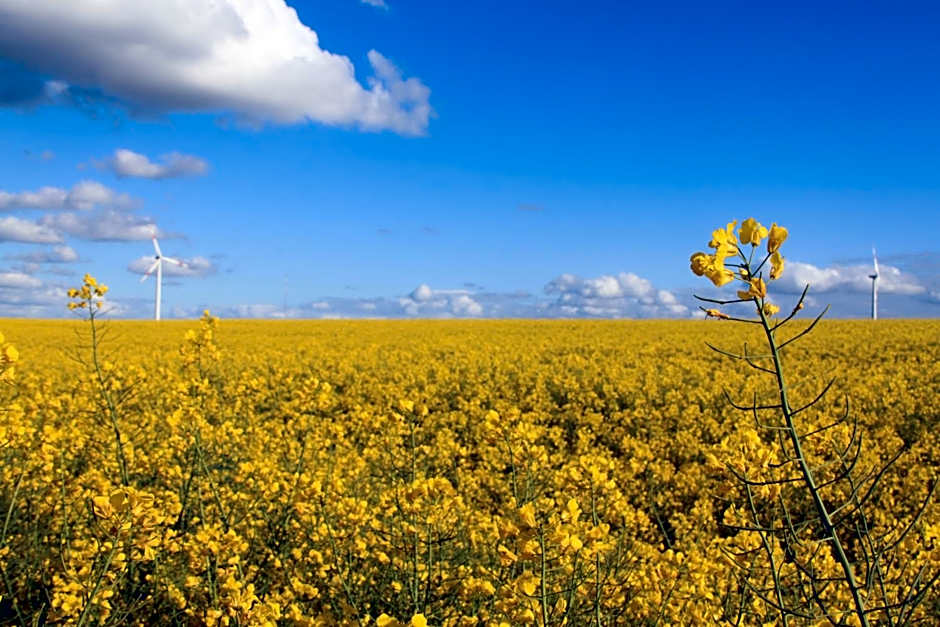 Land-gut-Hotel Hermann