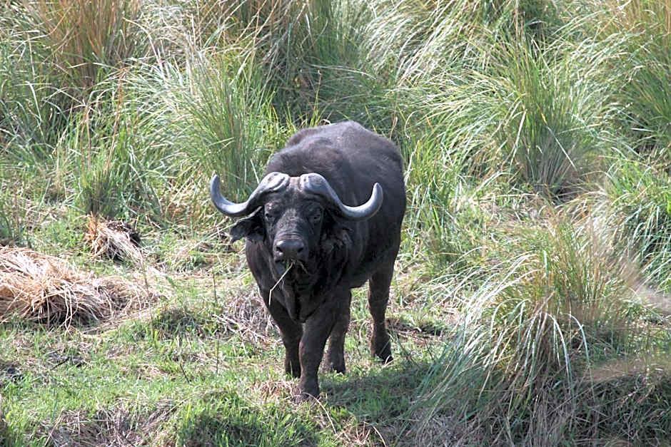 Inzalo Safari Lodge