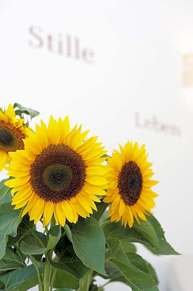 Hotel Payerbacherhof