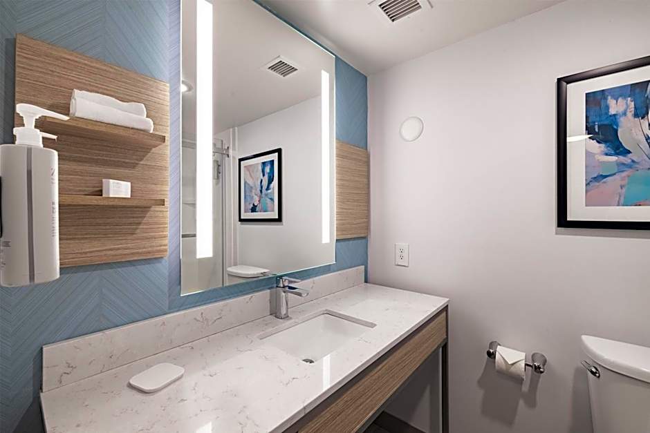 Hilton Garden Inn Albany