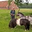 Boerderijkamer Zwanebloem