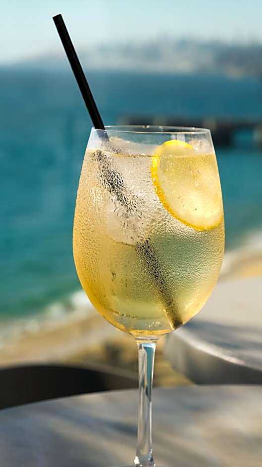 Pullman Vina del Mar San Martin