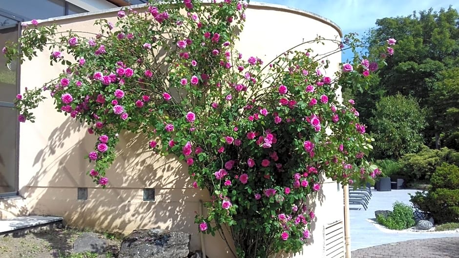 Le Manoir de la mantille