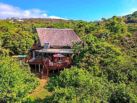 In The Green Backpackers