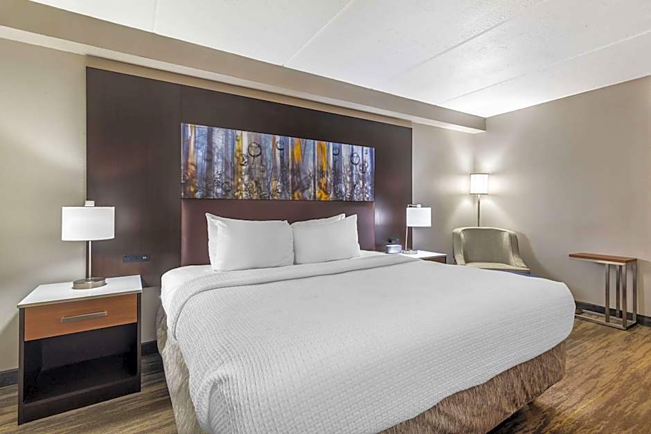 Best Western Atlanta-Marietta Ballpark Hotel