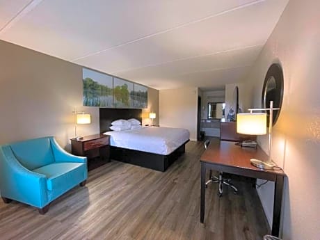 Standard King Room - Non Smoking