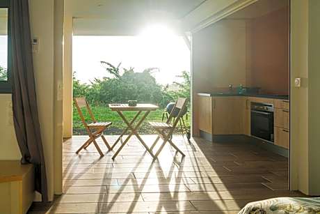 Studio : Écaille de tortue