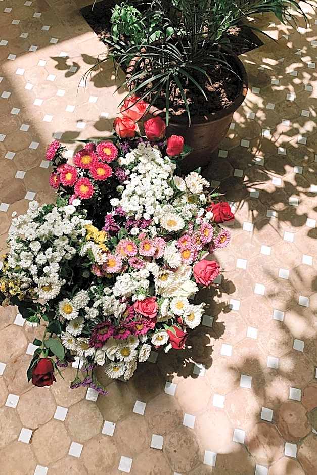 Riad Maison 24