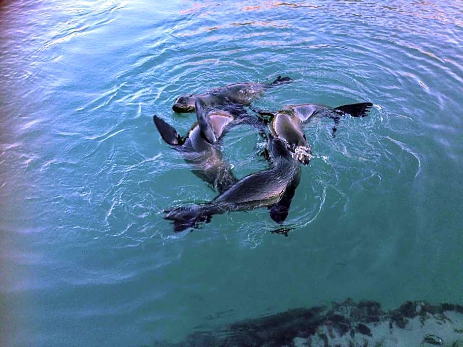 The Station House Motel