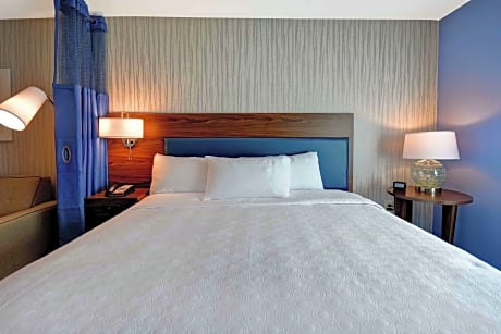 1 King Bed Studio Suite Nonsmoking