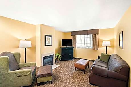 Suite-1 King Bed  Non-Smoking Fireplace Microwave And Refrigerator High Speed Internet Access Full B