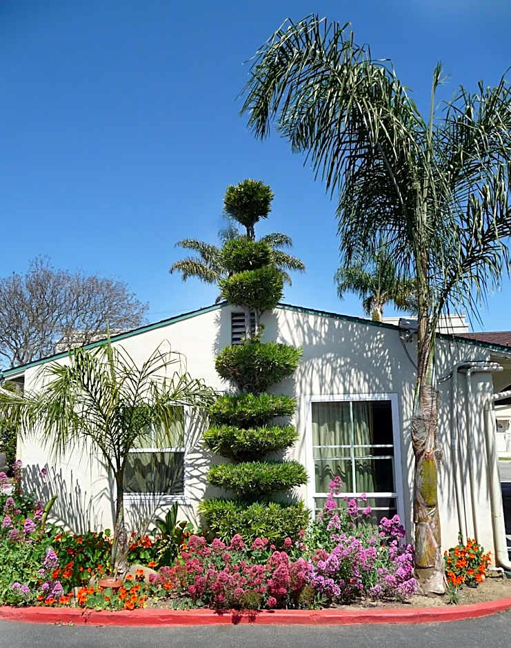 Photo 1 of 46 of Mission Bell Motel
