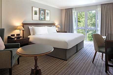 Deluxe King Room with View