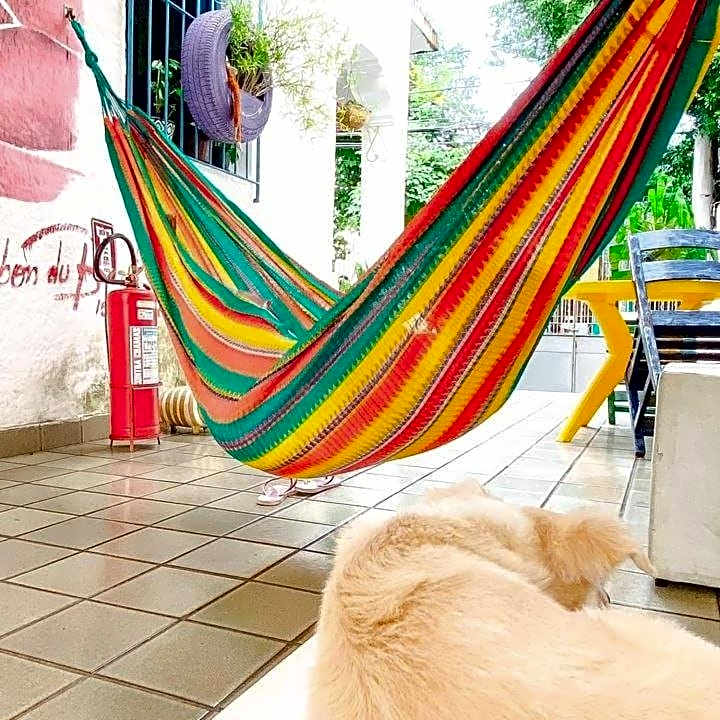 Zili Pernambuco - Hostel Pousada