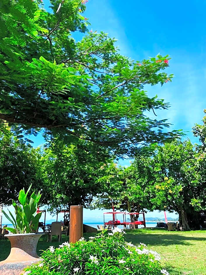 Beach Republic, Koh Samui