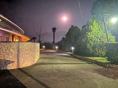 American Motel