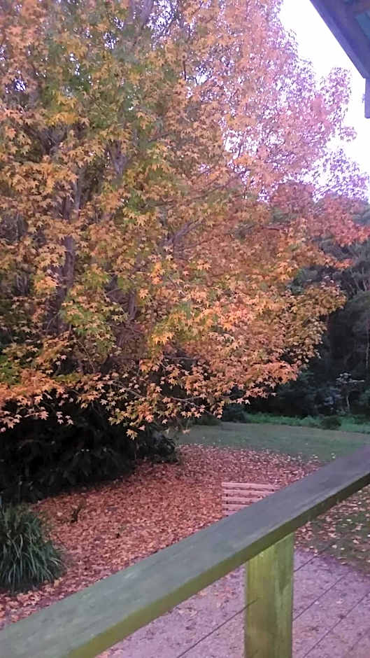 Forest view bungalow