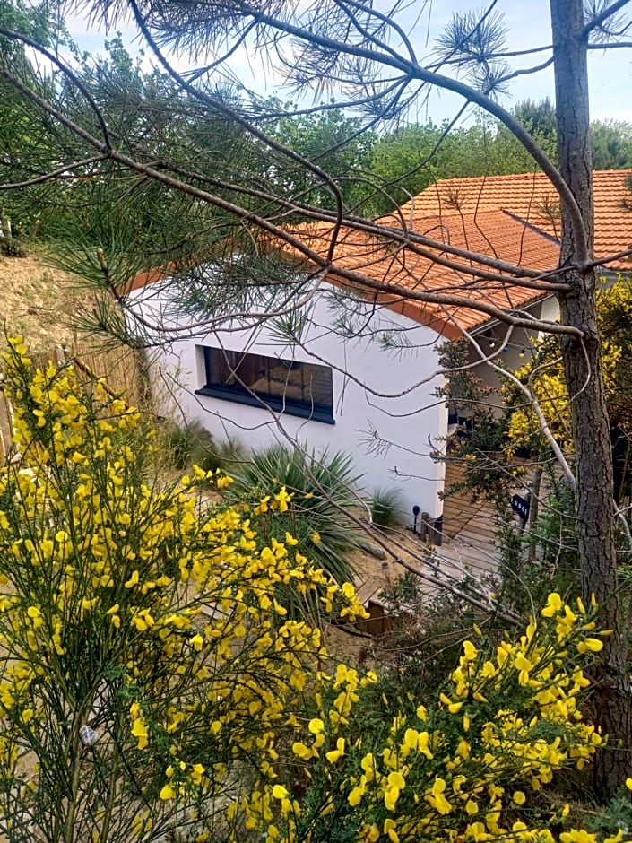 Côt'& Dune - lodge d'hôte & spa de nage