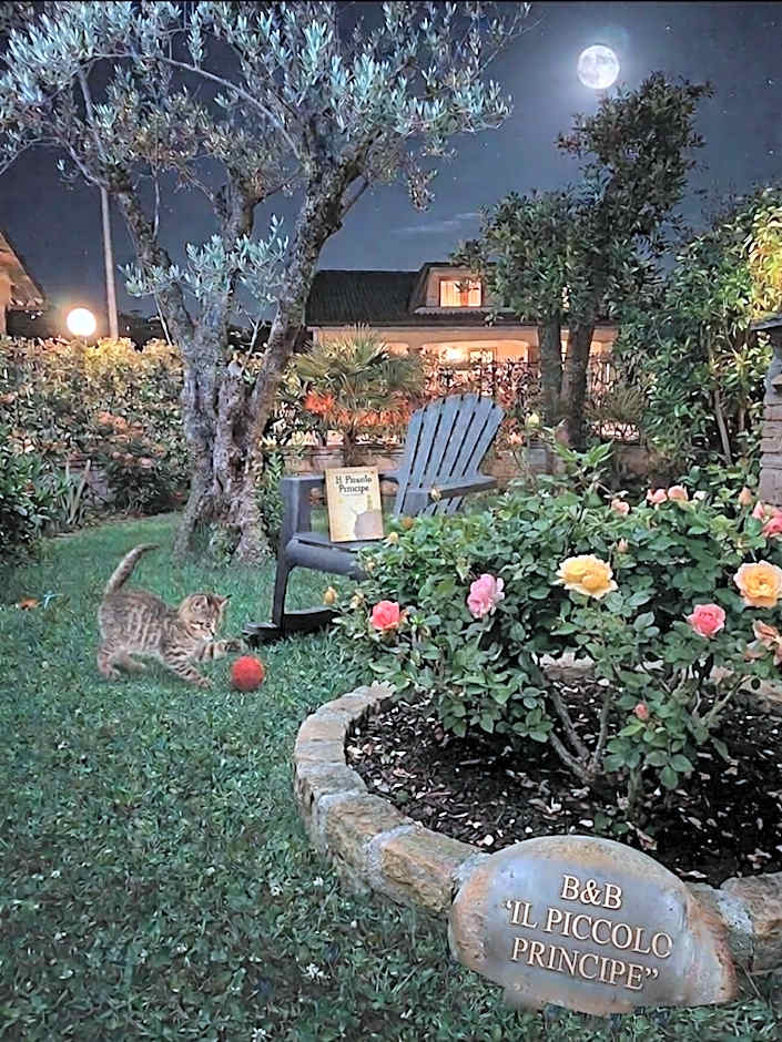 Il piccolo principe