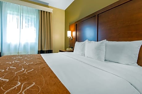 1 King Bed, Suite, Nonsmoking, Accessible