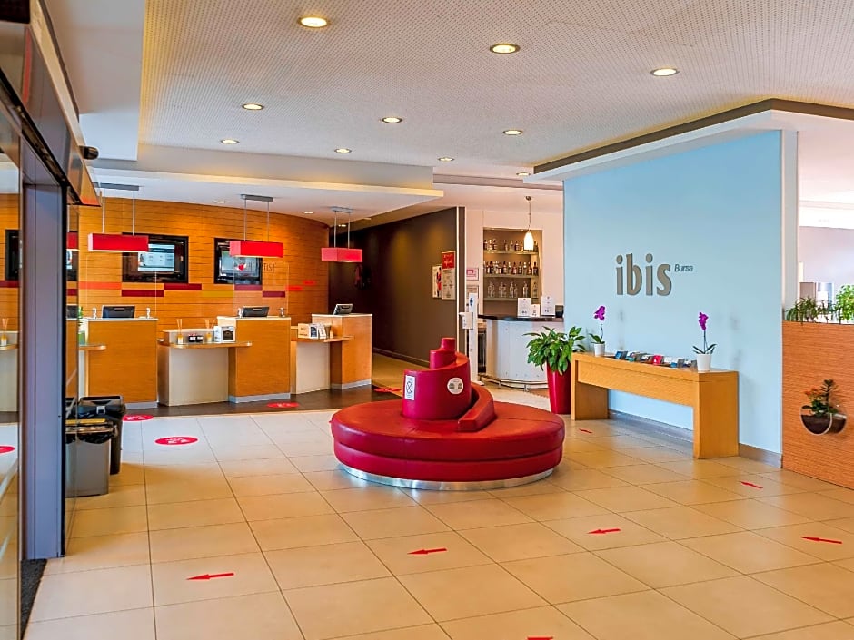 Ibis Bursa