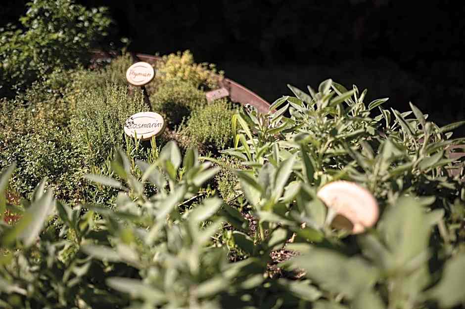 Vitalpina Hotel Schulerhof