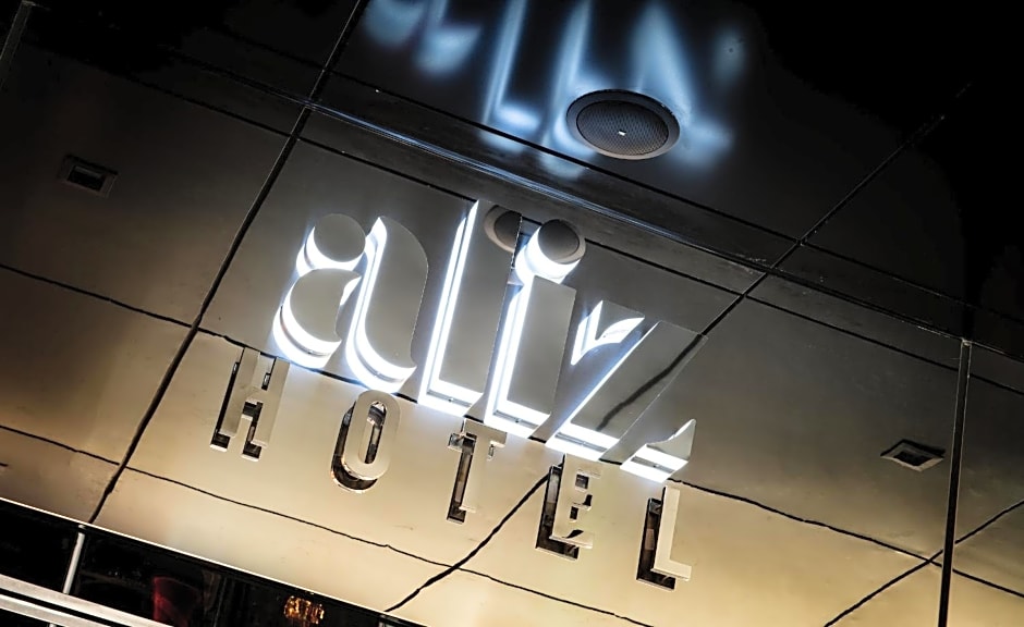 Aliz Hotel Times Square