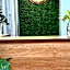 Town Inn Hotel - Rainforest