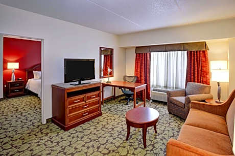 One-Bedroom King Suite with Sofa Bed