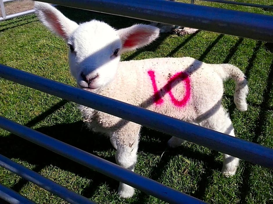 Five Saints Farmhouse B&B