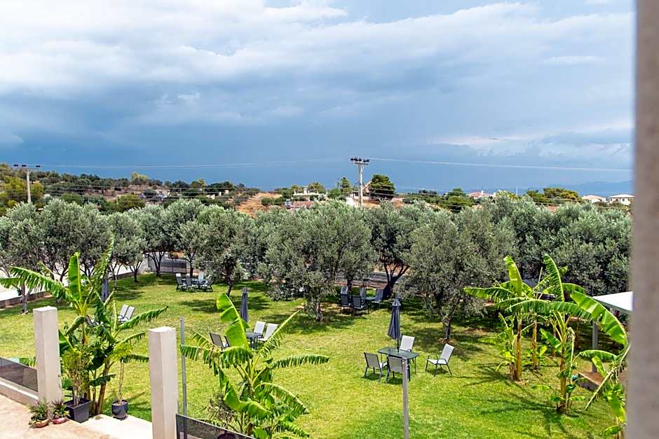 Airscape Hotel Free Shuttle From And To Athen's Airport