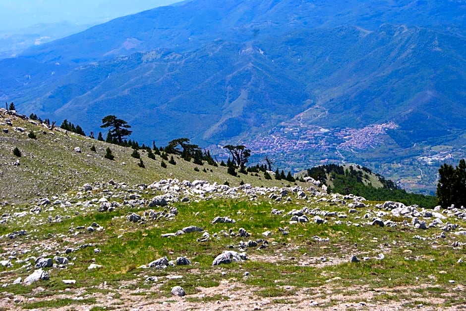 Tana Libera Tutti 1 Nature, Yourself, Love