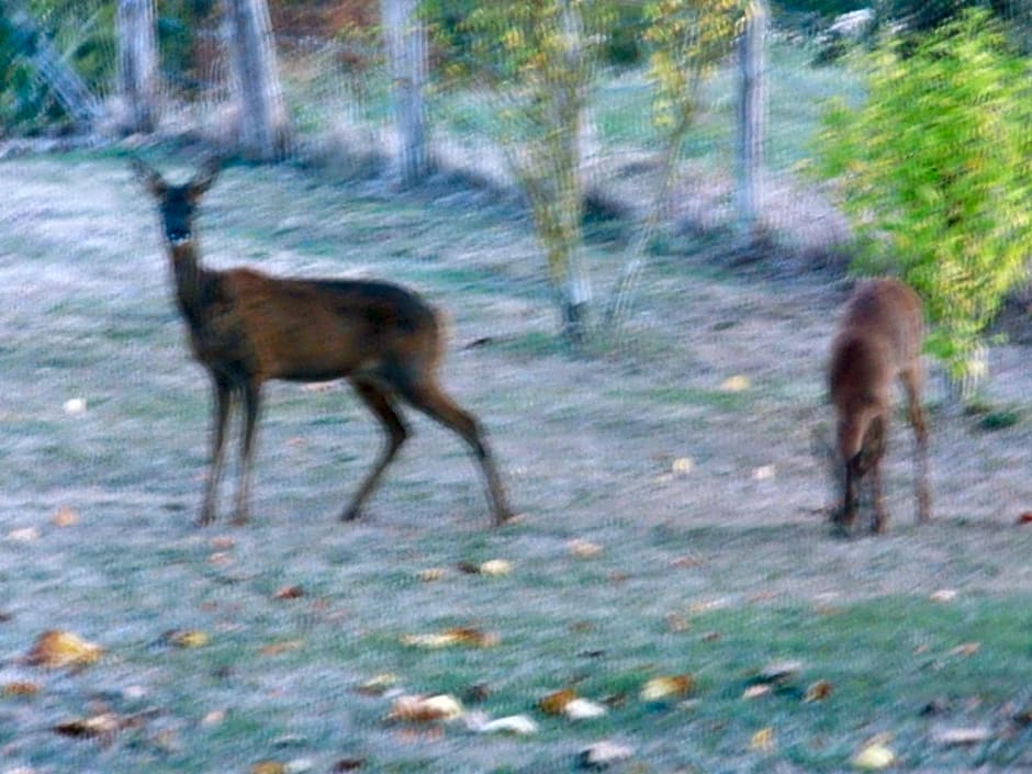 Chambre d'hôte du HOUSSAY à VALENNES 72320