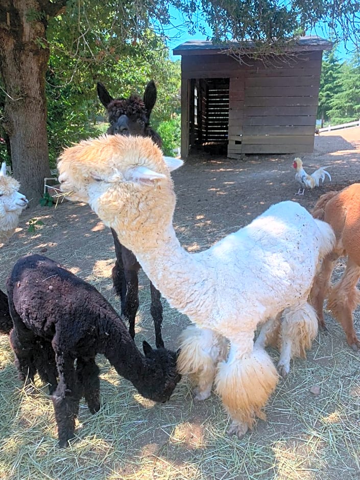 Polonezköy Country Club