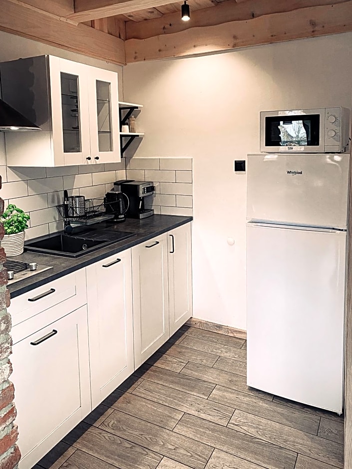 Bieszczadzkie Chatki - Willa Stasia