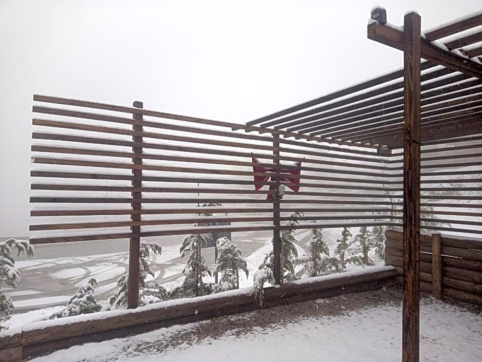 La Tana dello Scoiattolo - Adults Only