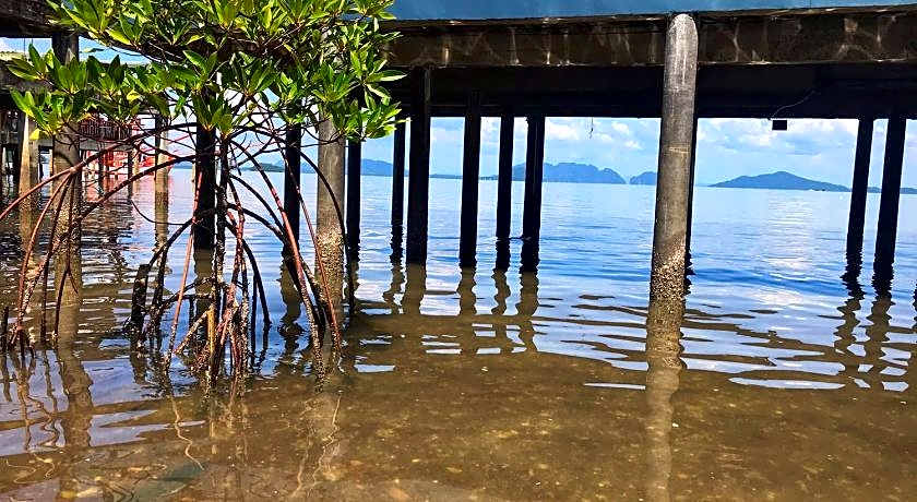 The mangrove old town