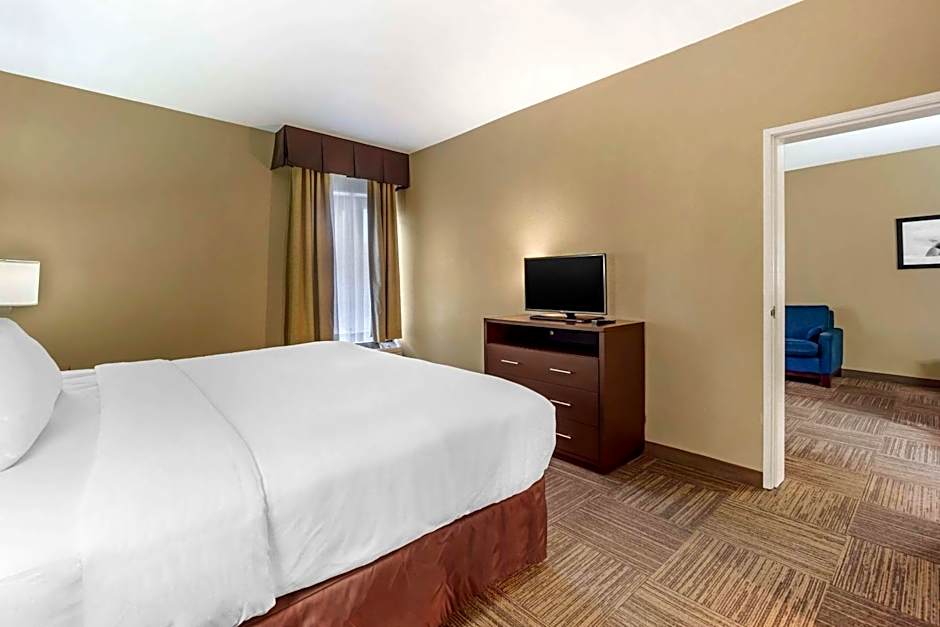 Comfort Inn & Suites Seatac