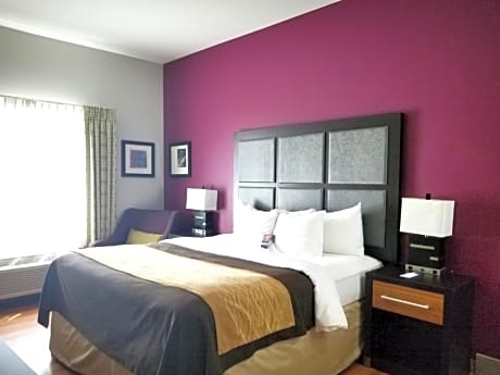 King Room - Non-Smoking