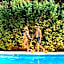 Petit Lafitte Beach Front Hotel & Bungalows