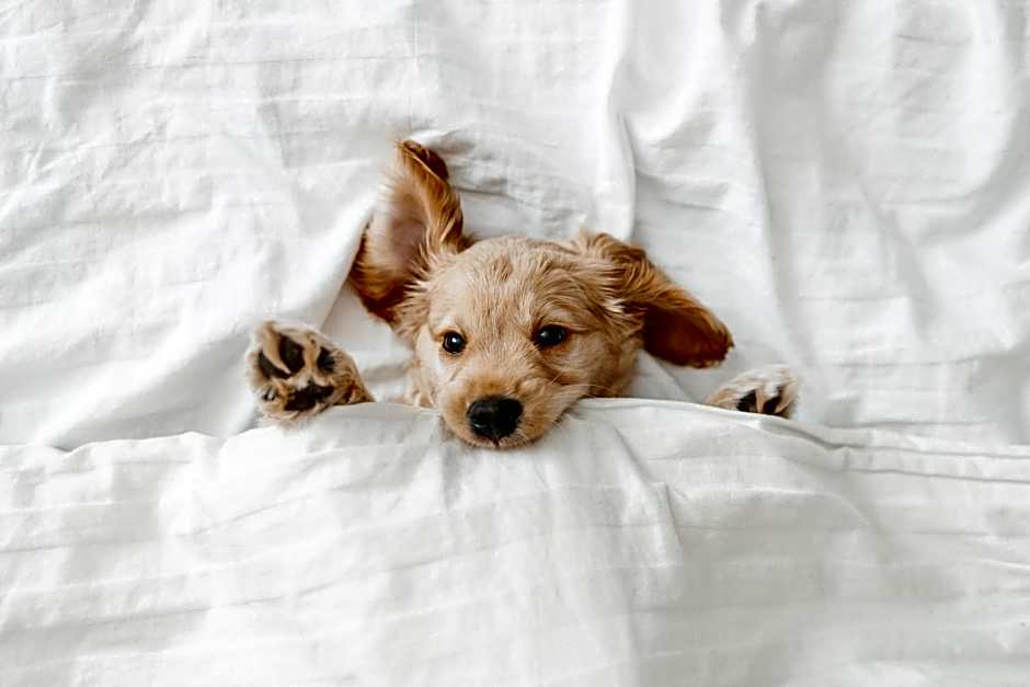 Pestana Miramar Garden & Ocean Hotel